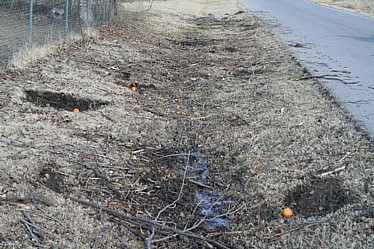 cratered-ditch1.jpg